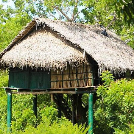 Yala Beddegama Eco Hotell Kataragama Eksteriør bilde