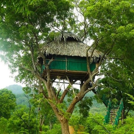 Yala Beddegama Eco Hotell Kataragama Eksteriør bilde