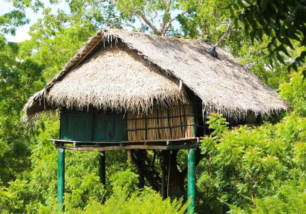 Yala Beddegama Eco Hotell Kataragama Eksteriør bilde
