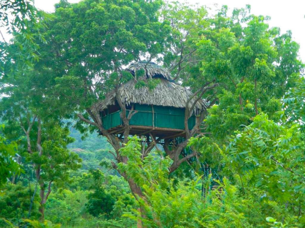 Yala Beddegama Eco Hotell Kataragama Eksteriør bilde