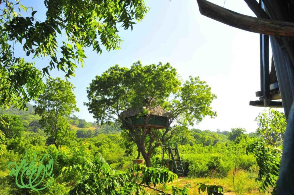 Yala Beddegama Eco Hotell Kataragama Eksteriør bilde