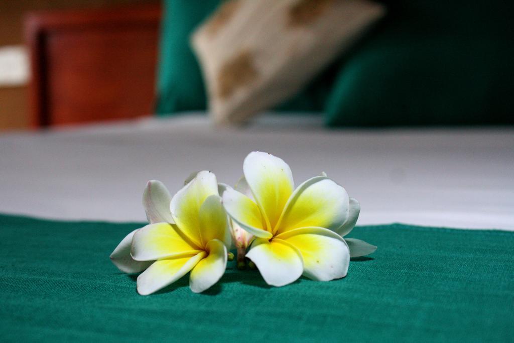 Yala Beddegama Eco Hotell Kataragama Rom bilde