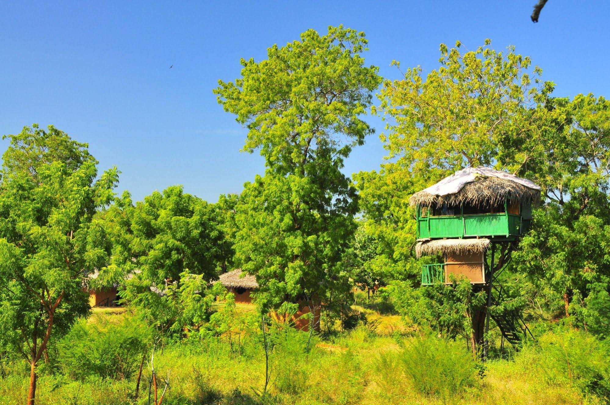Yala Beddegama Eco Hotell Kataragama Eksteriør bilde